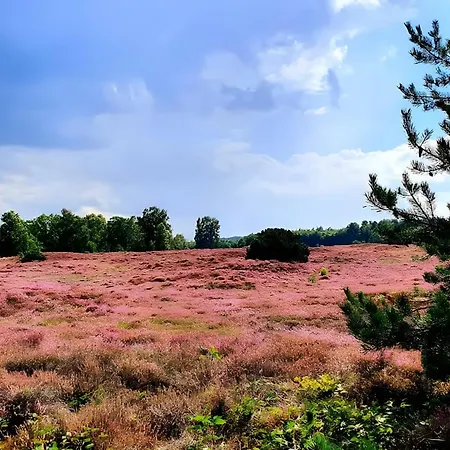 Hébergement de vacances Thomas