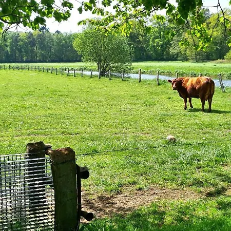 Dom wakacyjny Thomas Colnrade